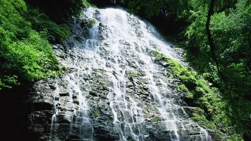 可靠性精密